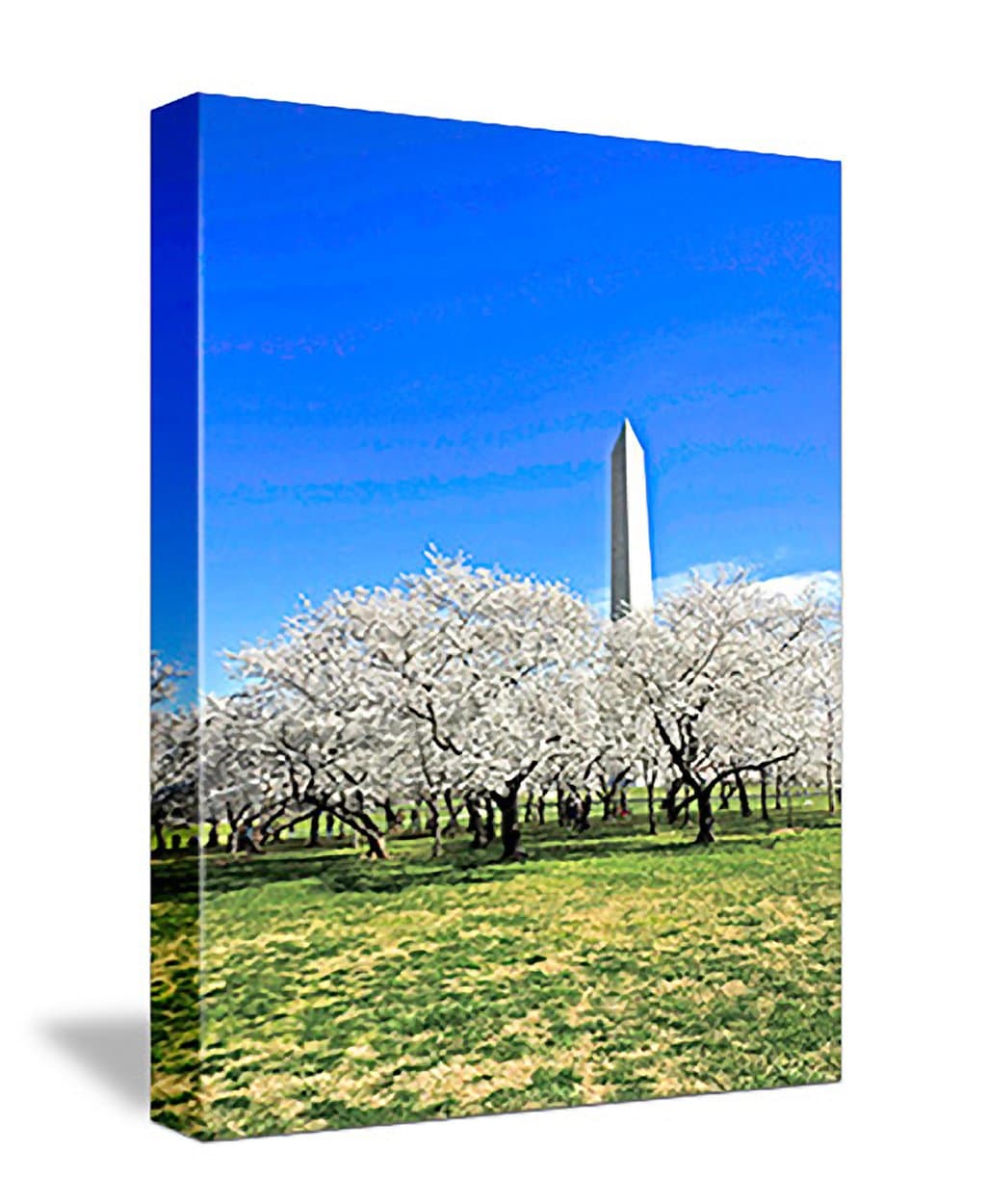 WASHINGTON MONUMENT AT CHERRY BLOSSOMS TIME gallery-wrapped giclee canvas print / canvas art - from the Ambassador Eckert "Images of Our World" collection