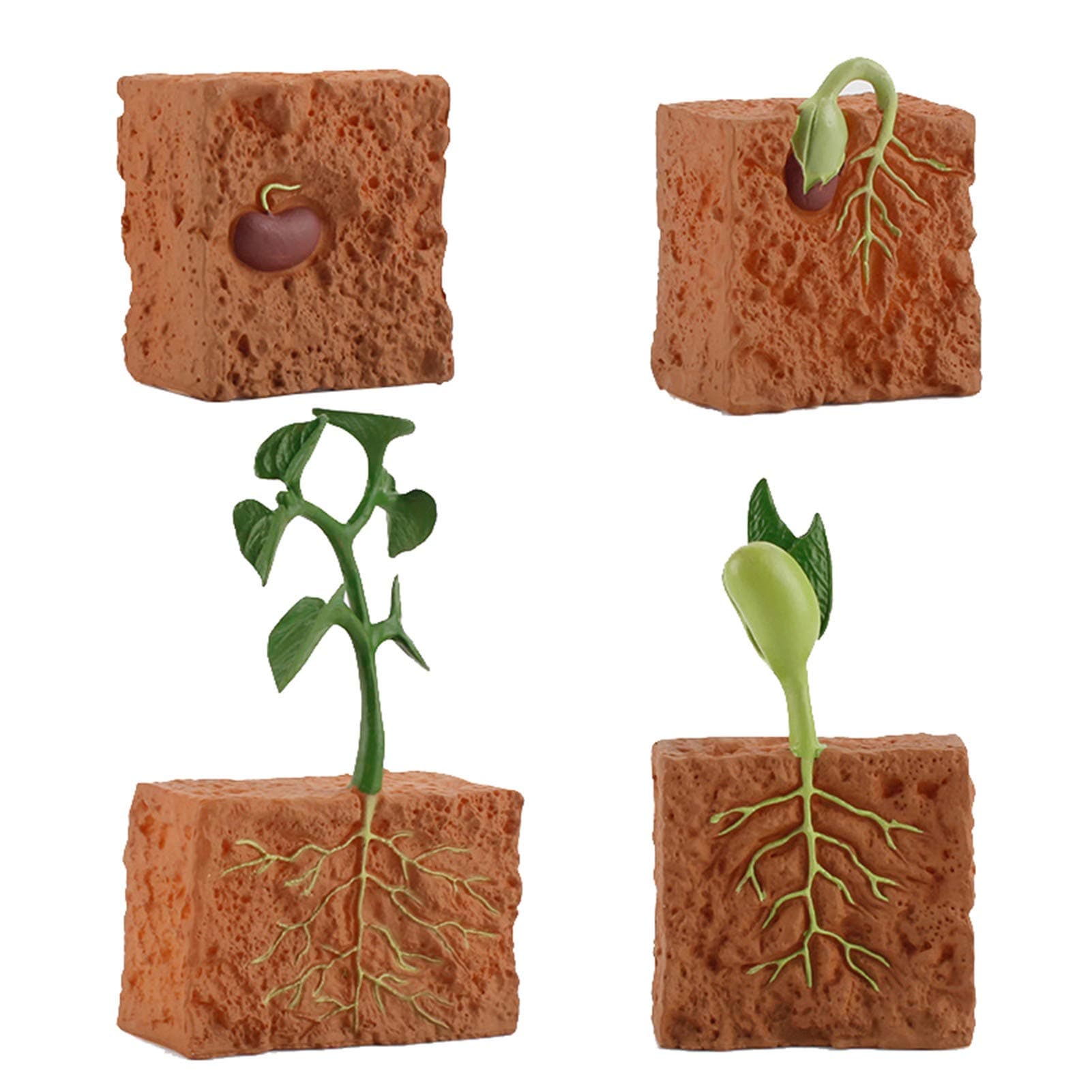 4Pcs Life Cycle Green Plants Educational Toy PVC Growth Cycle Fake Plant Toy for Kids Teaching Tool