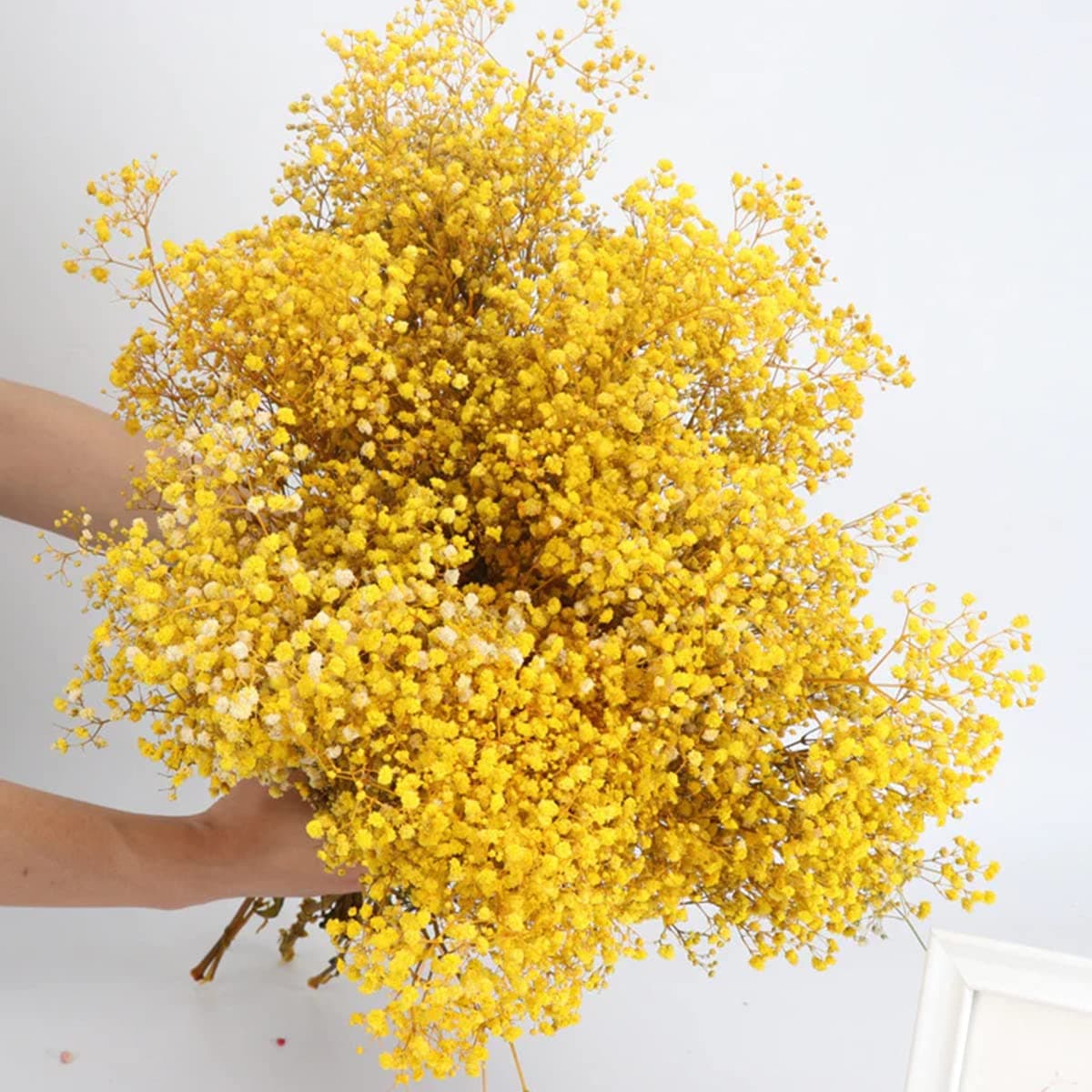 Dried-Flowers-Babys-Breath-Bouquet 17.2 inches 2500+ Flowers, Natural Gypsophila, Dry Flowers Bulk for Vase Home Decor, Wedding, Table Decor, DIY Wreath Floral(Yellow)