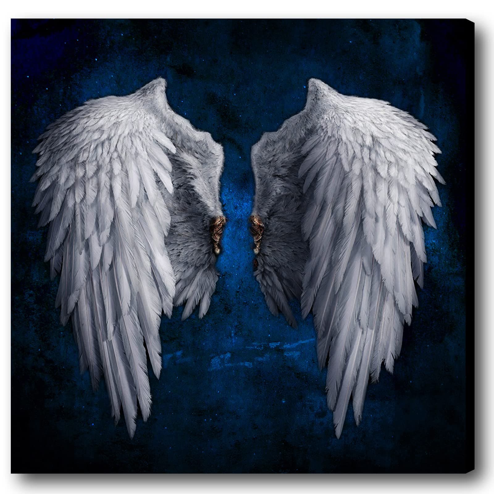 Biuteawal - Angel Wings Canvas Print Wall Art Grey Wings on Starry Background Picture Painting The Powerful Wing Home Decoration Contemporary Abstract Artwork Framed for Artistic Photo Shoot