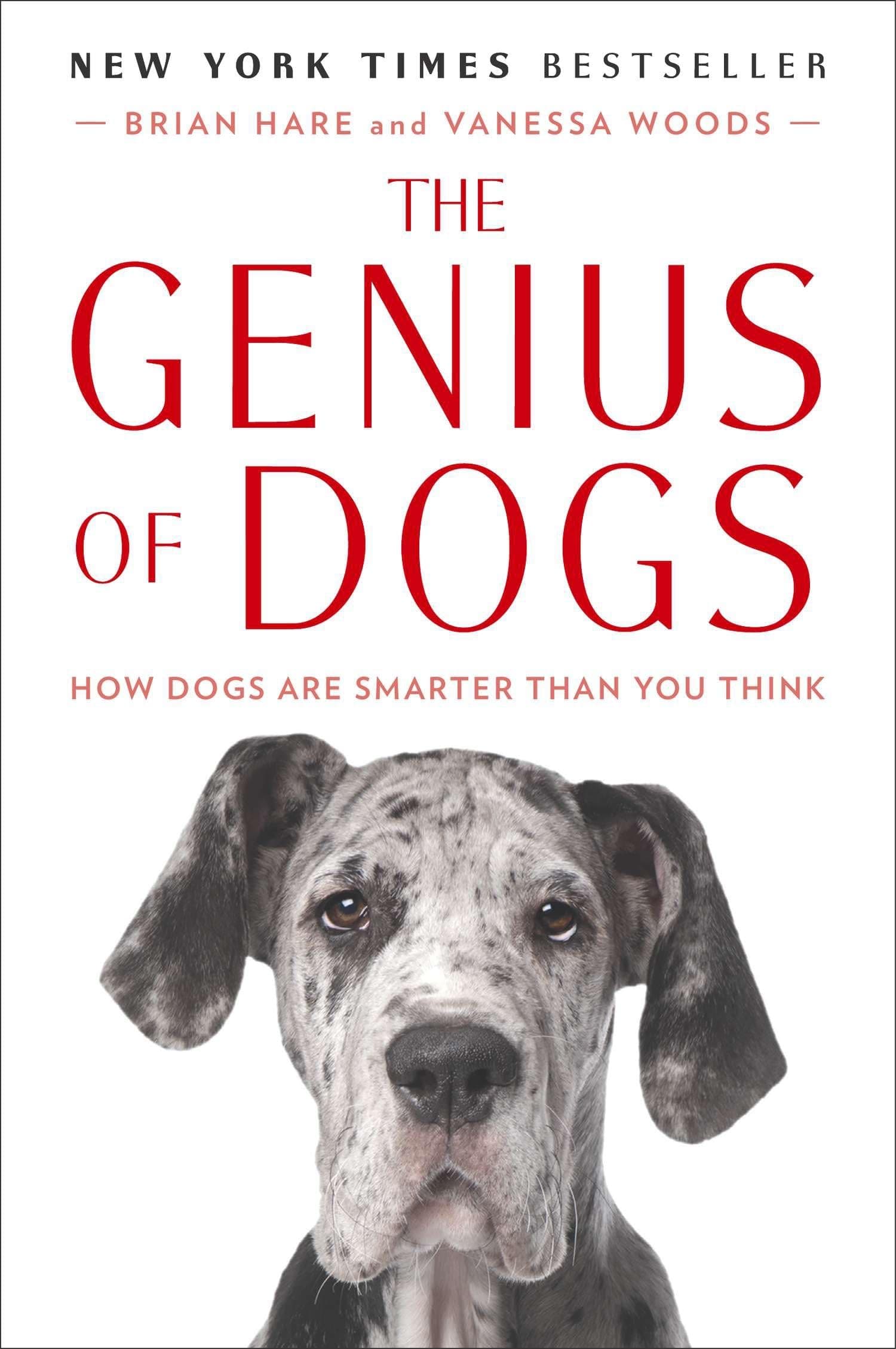 The Genius of Dogs: How Dogs Are Smarter Than You Think Paperback – October 29, 2013