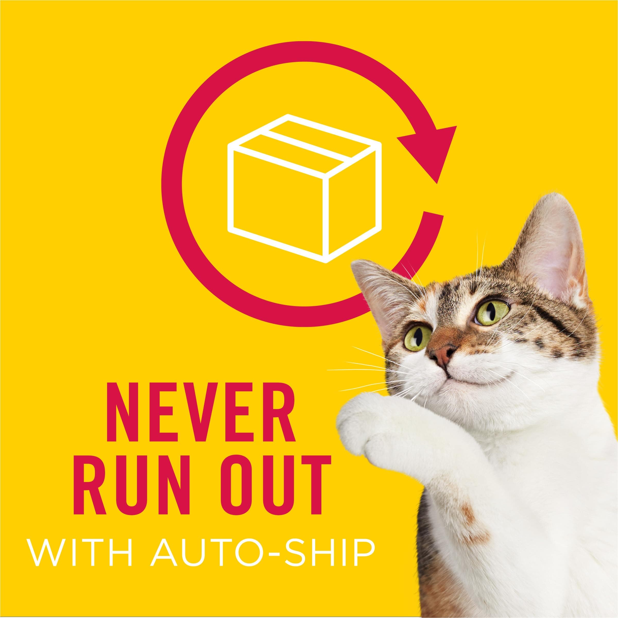 Purina Friskies Classic Pâté Cat Food, 48-Count Variety Pack – 5.5 oz Cans – 4 Flavors: Turkey, Salmon, Mixed Grill & Ocean Whitefish