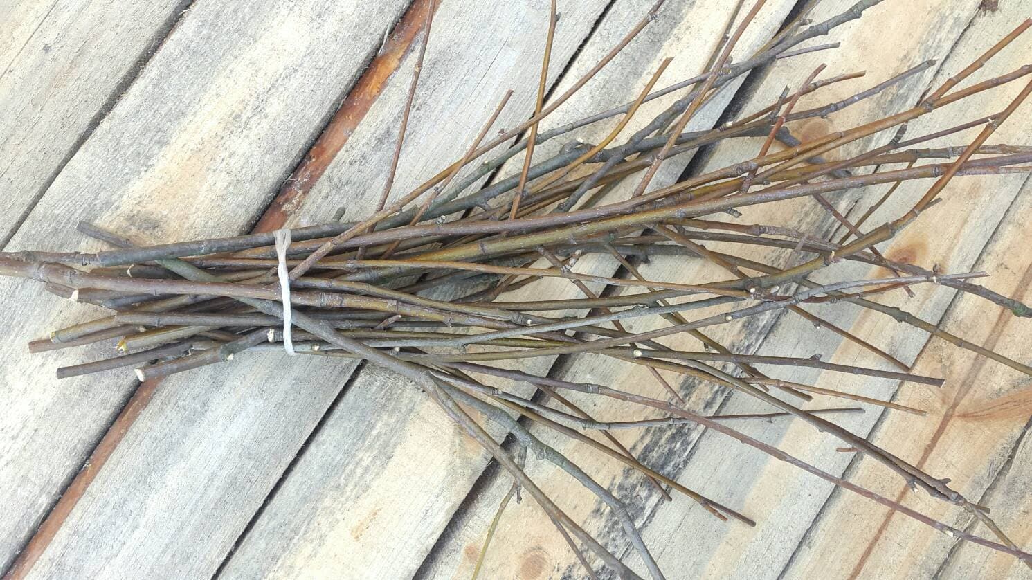 25 Rowan Wood Twigs. Rowan Sticks. Decorative Rowan Branches Bundle. Rustic Home Decor. Rowan Twigs. Home Protective 25 Branches.