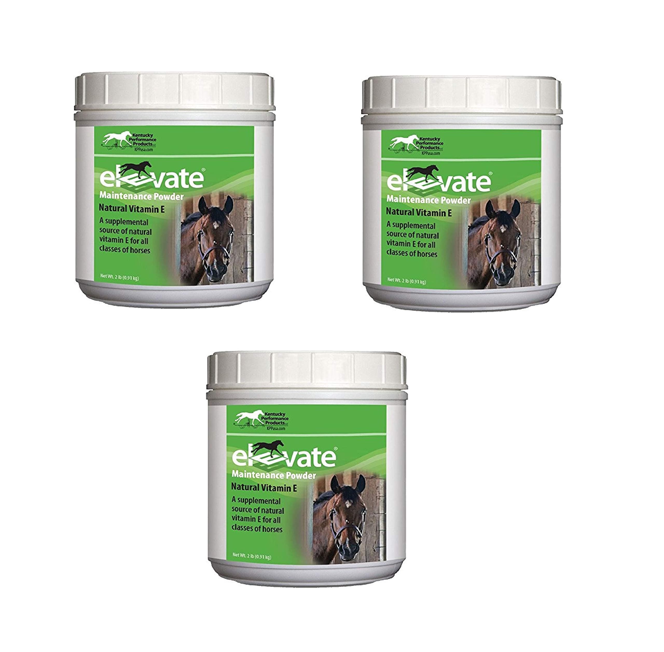 Kentucky Performance Prod 044097 Elevate Maintenance Powder Supplement for Horses, 2 lb
