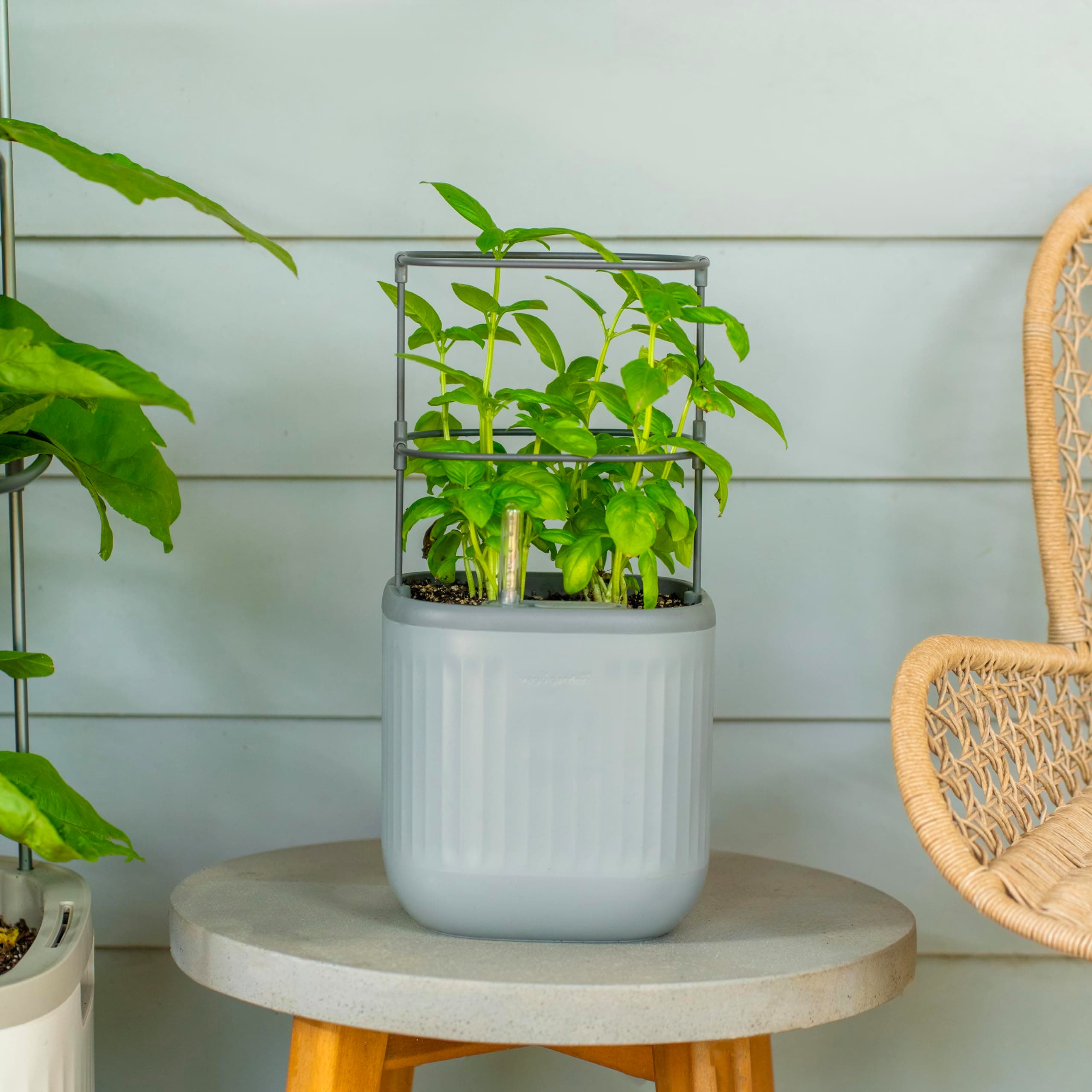 Mini Planter Indoor Pots with Trellis Self-Watering Herb Countertop Planter for Climbing Vegetables Flowers Mint Plants Cage- Fog Gray