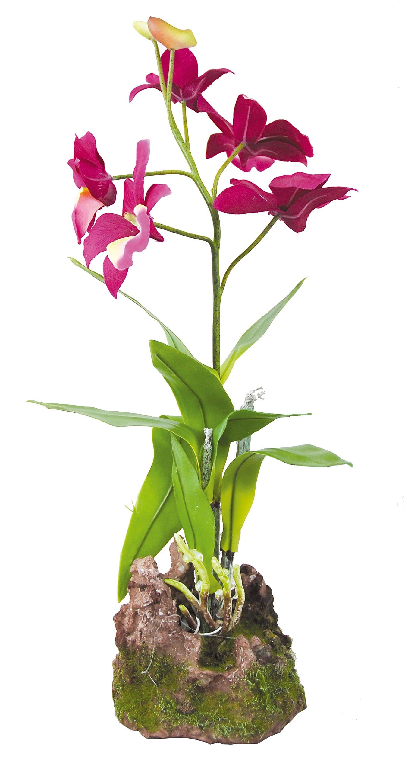 Lucky Reptile IF-14 Upright Orchid, 35 cm, Purple