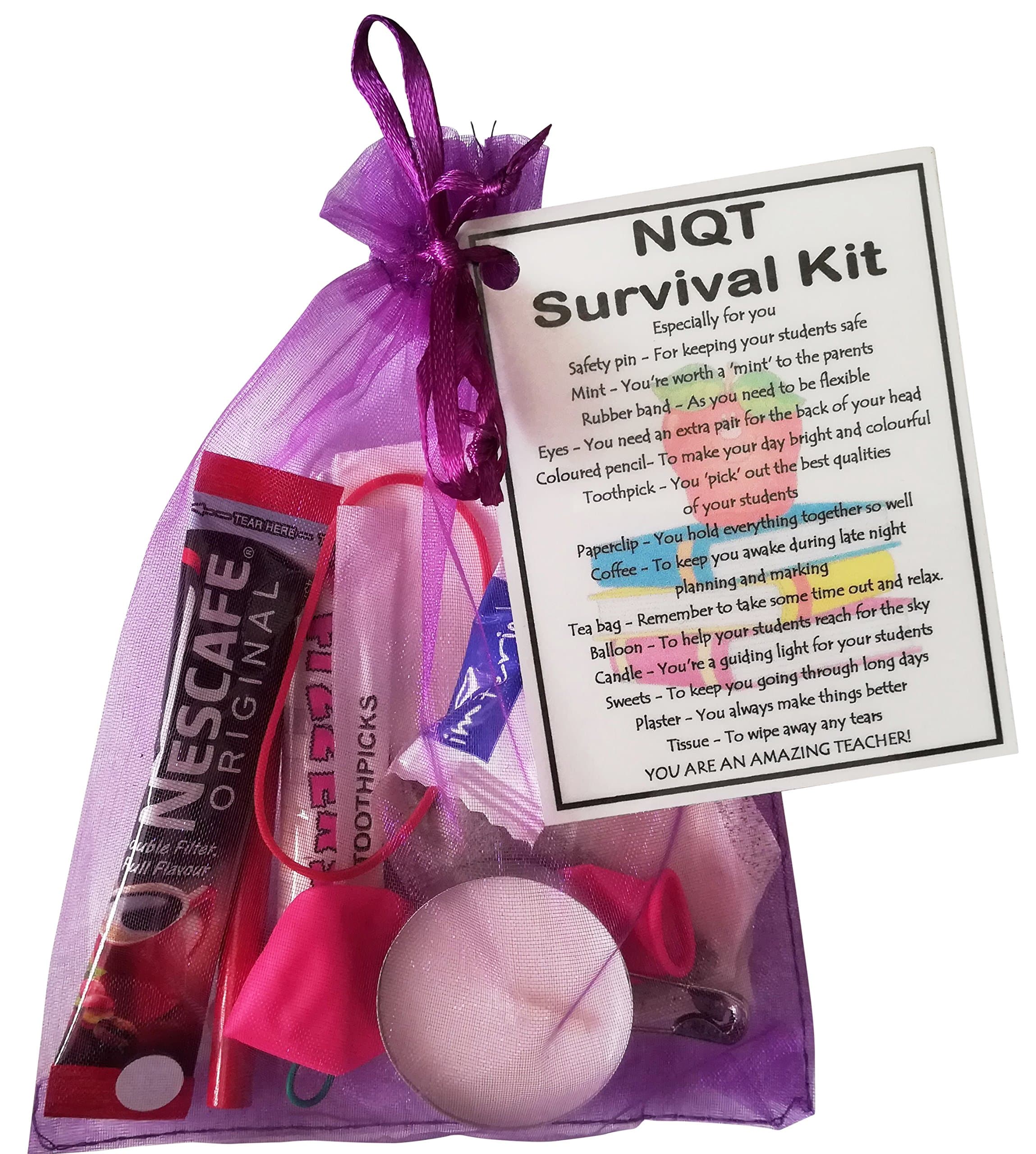 NQT Survival Kit Teacher Gift (Newly Qualified Teacher gift for Christmas, New Teacher Secret Santa, funny student teacher gifts, thank you trainee teacher gift,