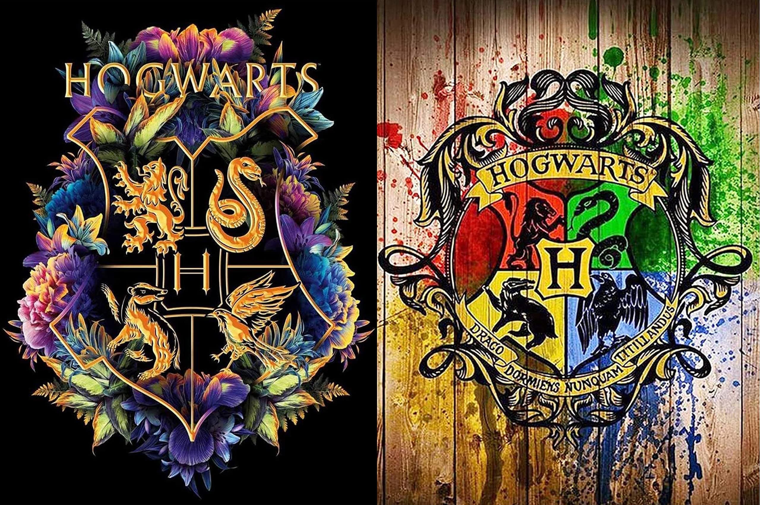 HORPKUN 2 Pack 5D Diamond Painting Kits, Full Drill Diamond Badge Picture Art Kits, DIY Kids Adults Crystal Art Kits for Home Wall Decor 40x30cm