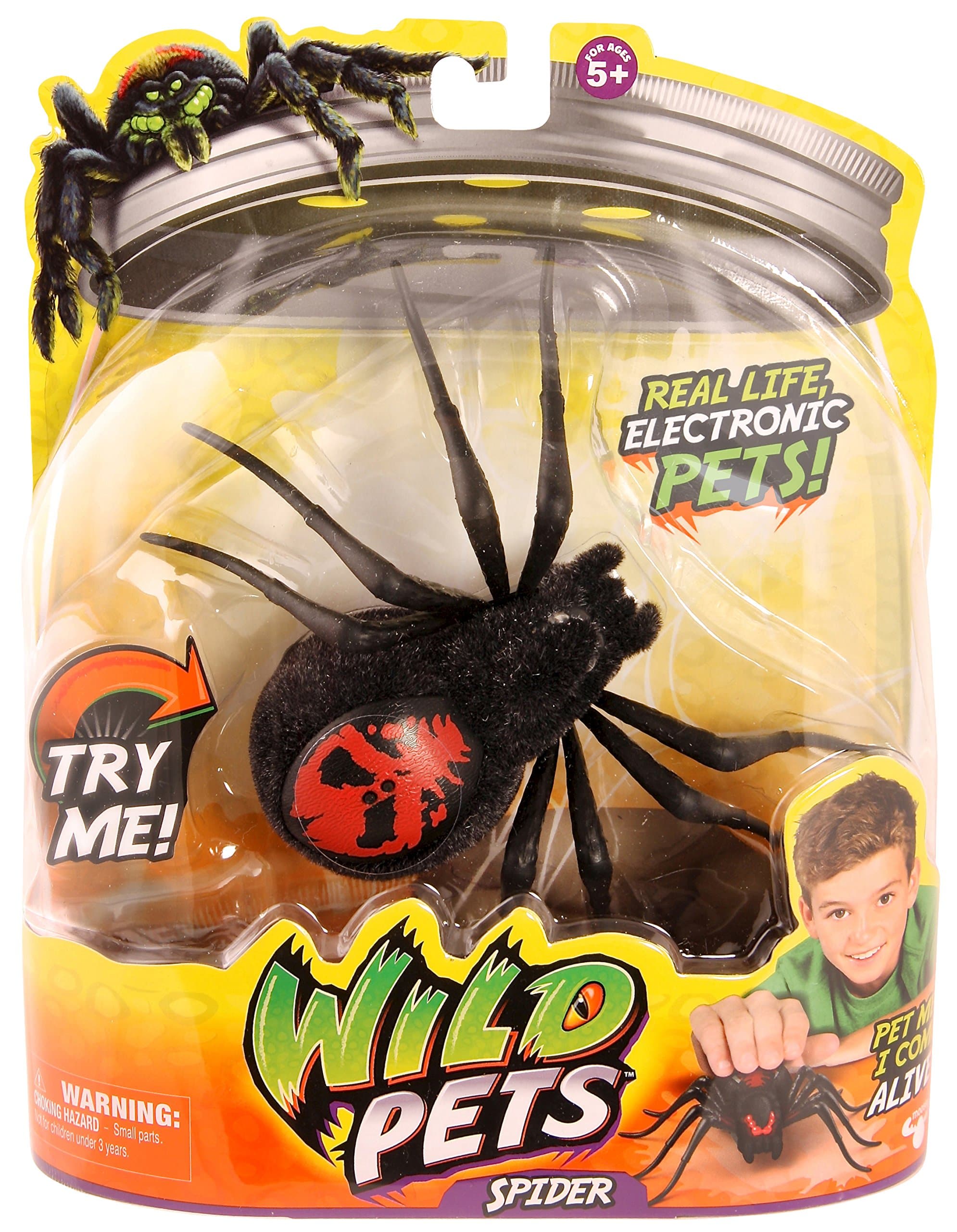 Wild Pets Spider Single Pack (Styles May Vary)
